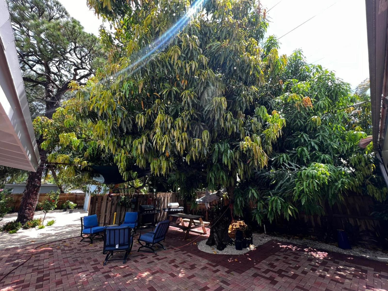 Luxury Quiet Studio - Fort Lauderdale Exterior photo