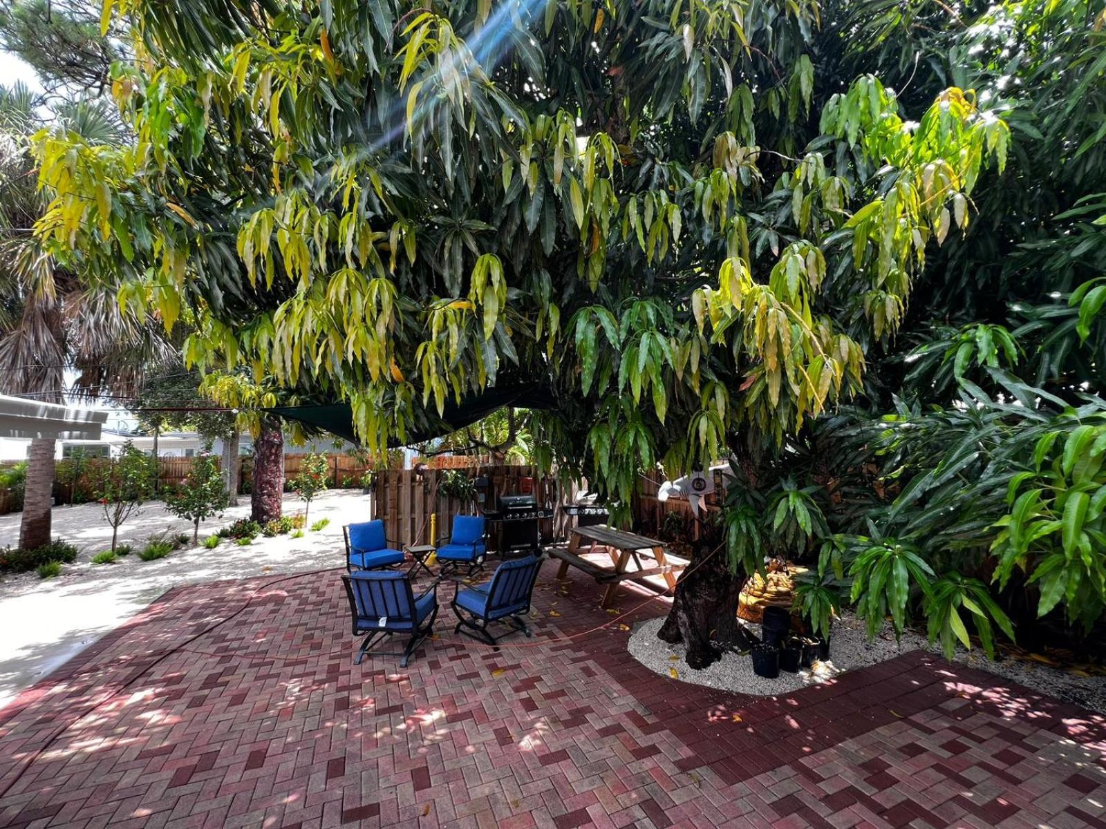 Luxury Quiet Studio - Fort Lauderdale Exterior photo