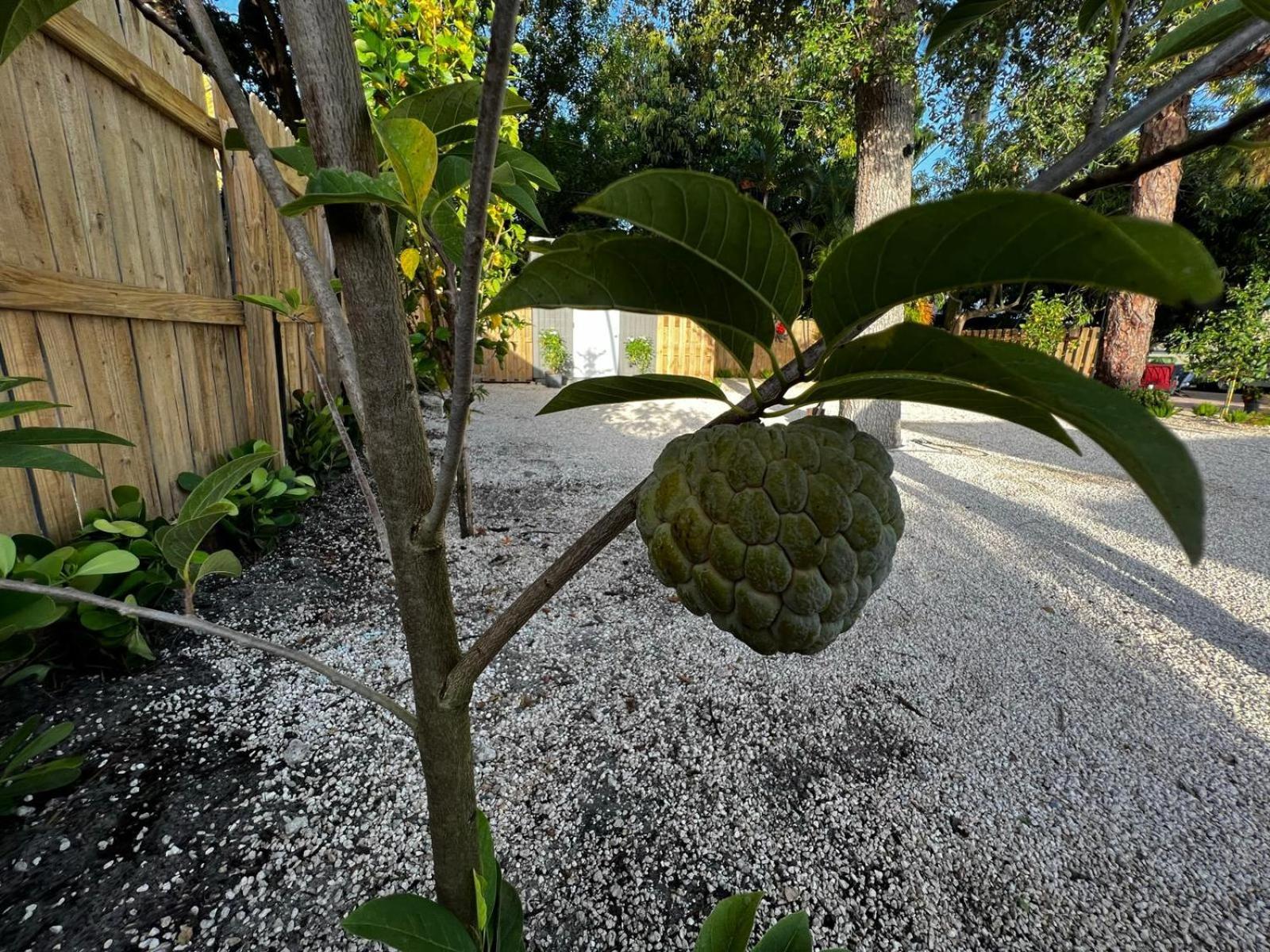 Luxury Quiet Studio - Fort Lauderdale Exterior photo